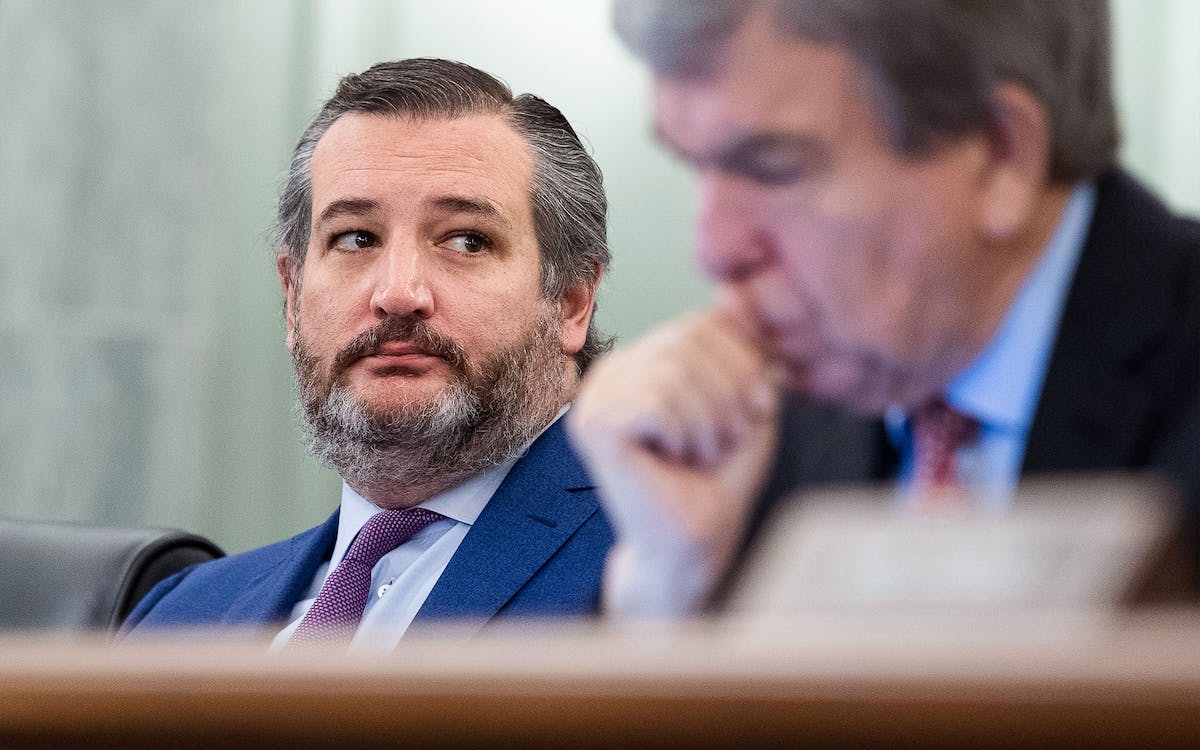 I do not like that man ted cruz